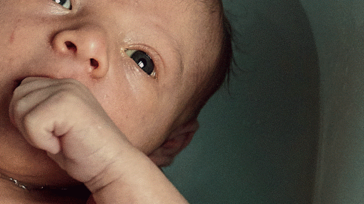 Captura de ecrã 2026-01-26 143739